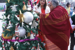 Jingle-Mingle-Celebration-DPS-Greater-Faridabad-14